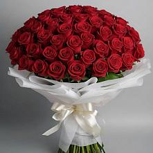 Букет 101 Красная роза Блэк Мэджик в Миньяре