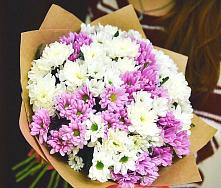 Букет цветов из:  Хризантемы #REPLACE_PRED# Миньяре