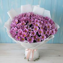 Букет цветов из:  Хризантемы #REPLACE_PRED# Миньяре