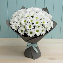 Букет цветов из:  Хризантемы #REPLACE_PRED# Миньяре