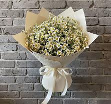 Букет цветов из:  Ромашки #REPLACE_PRED# Миньяре