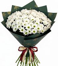 Букет цветов из:  Хризантемы в Миньяре