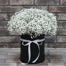 Цветочная композиция из Гипсофила в шляпной коробке в Миньяре