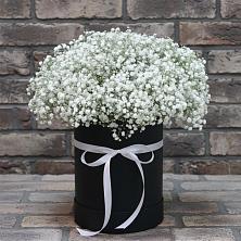 Цветочная композиция из Гипсофила в шляпной коробке в Миньяре