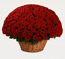 Премиум букет из: Розы в Миньяре