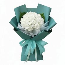 Букет цветов из:  Гортензия в Миньяре
